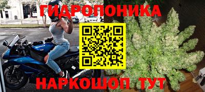 прущие грибы Берёзовский